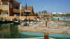 P1050473 (Small).JPG (51528 bytes)