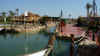 P1050474 (Small).JPG (48608 bytes)