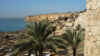 P1050639 (Small).JPG (55860 bytes)