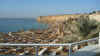P1050640 (Small).JPG (51843 bytes)