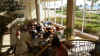 P1050666 (Small).JPG (63773 bytes)