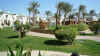 P1050754 (Small).JPG (62261 bytes)