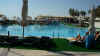 P1060074 (Small).JPG (45151 bytes)