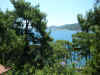 P1060212.JPG (95950 bytes)